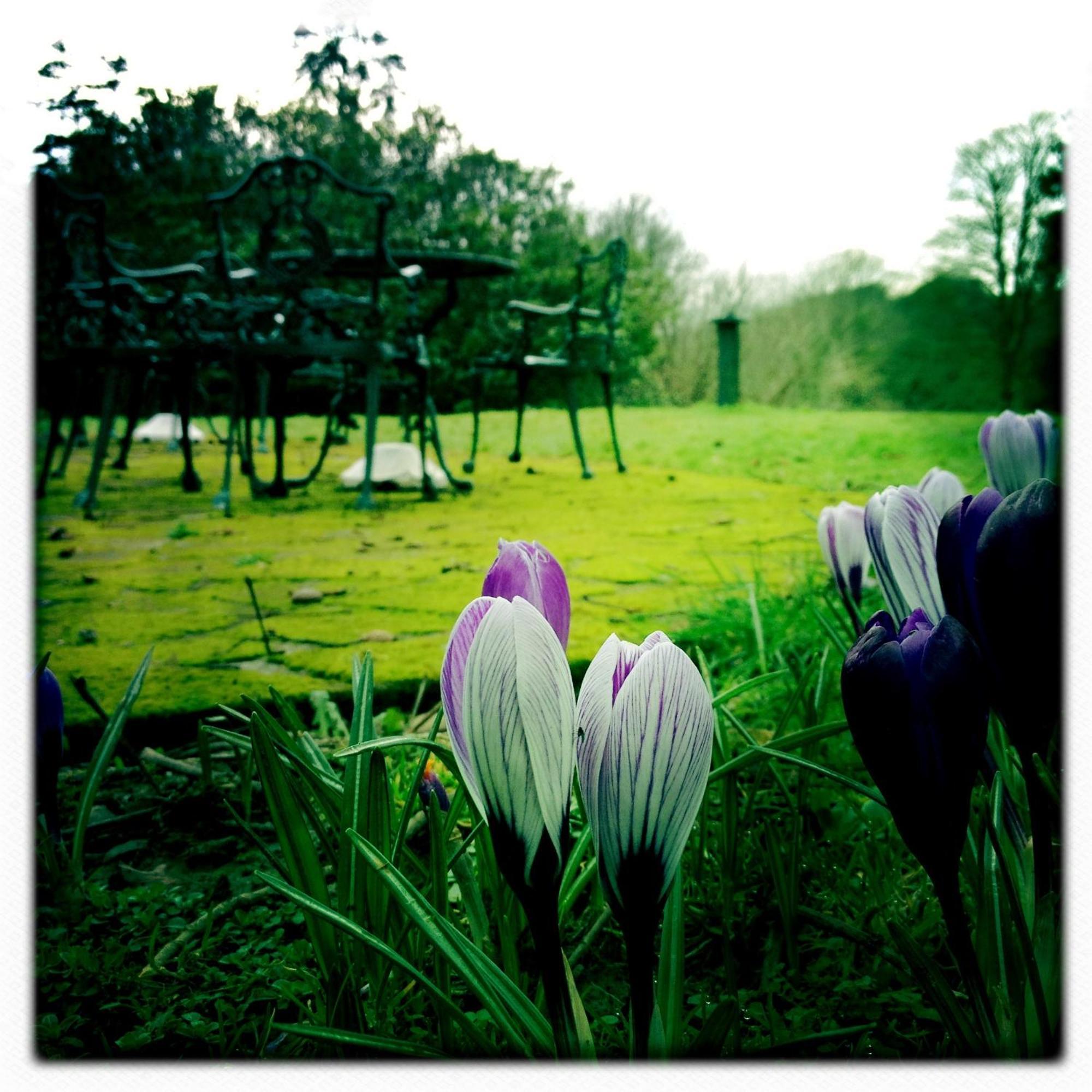 The Lake Country House Hotel & Spa Llangammarch Wells Εξωτερικό φωτογραφία
